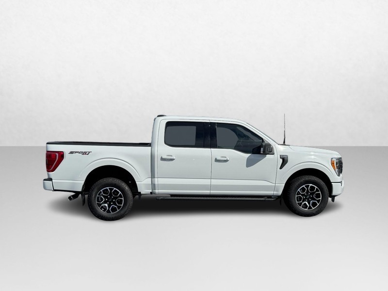 Ford F-150 Vehicle Image 02