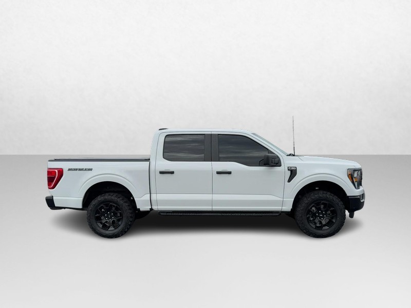 Ford F-150 Vehicle Image 02