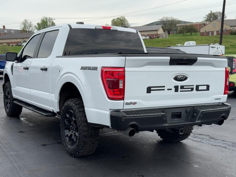 Ford F-150 Vehicle Image 06