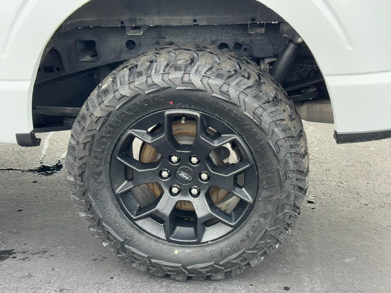 Ford F-150 Vehicle Image 07