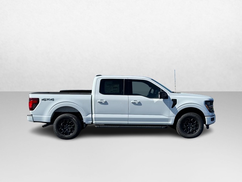 Ford F-150 Vehicle Image 02