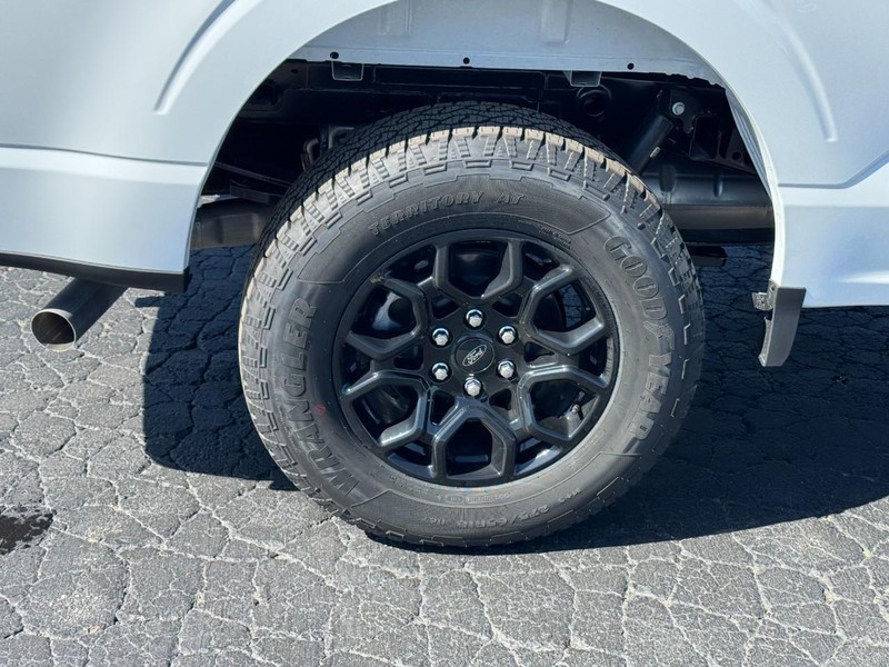 Ford F-150 Vehicle Image 04