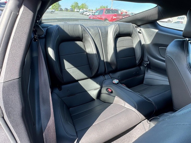 Ford Mustang Vehicle Image 12