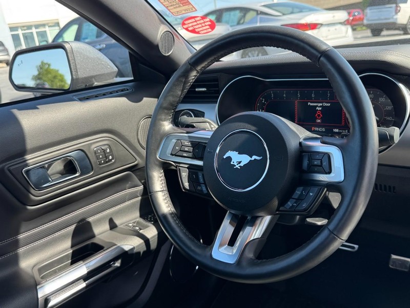 Ford Mustang Vehicle Image 14