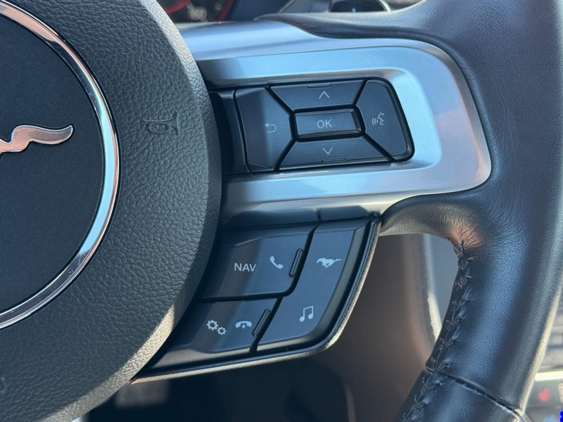 Ford Mustang Vehicle Image 19
