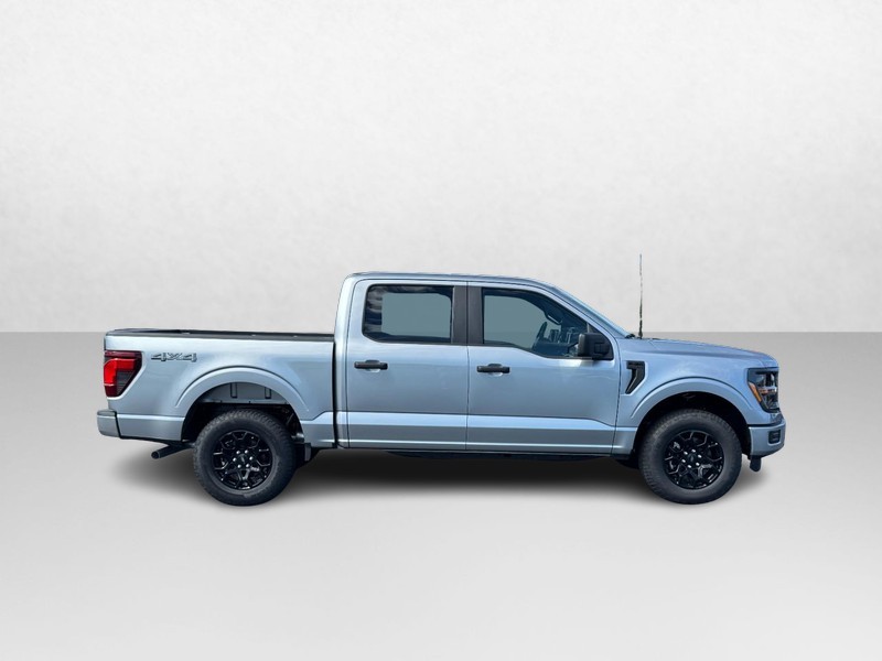 Ford F-150 Vehicle Image 02