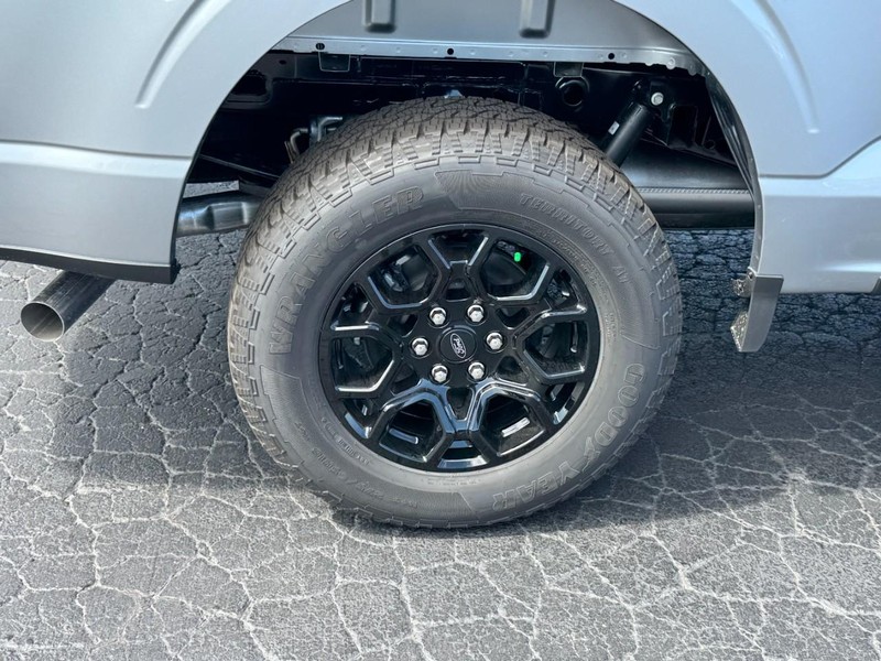 Ford F-150 Vehicle Image 04