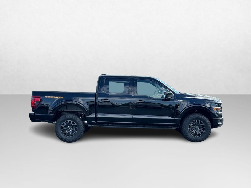 Ford F-150 Vehicle Image 02