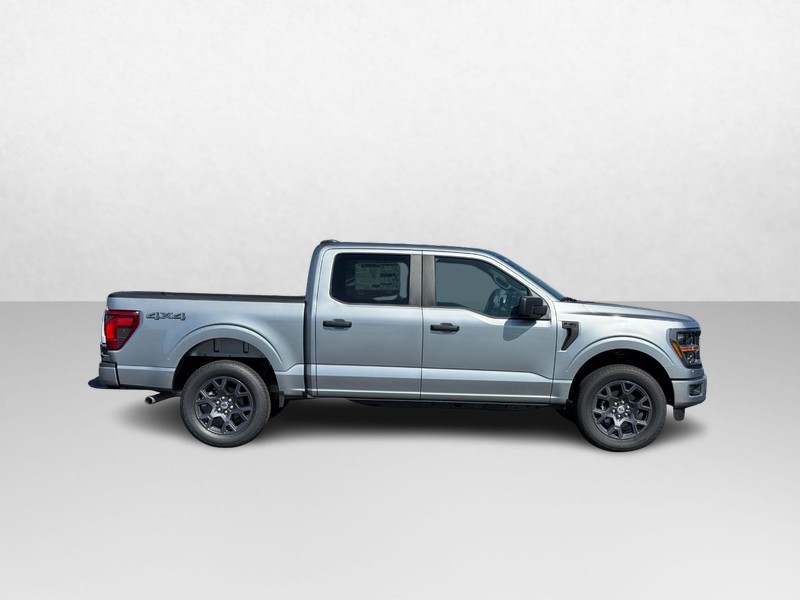 Ford F-150 Vehicle Image 02
