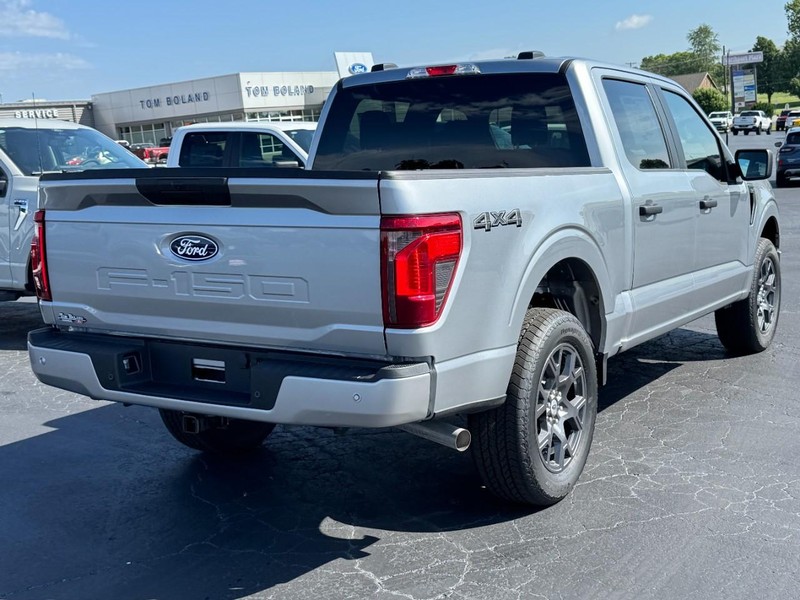 Ford F-150 Vehicle Image 03