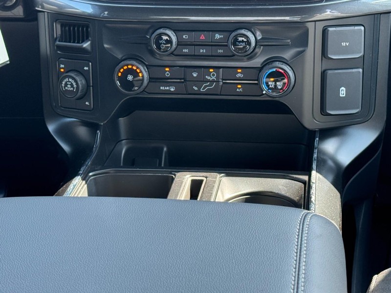 Ford F-150 Vehicle Image 09