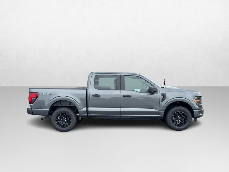 Ford F-150 Vehicle Image 02