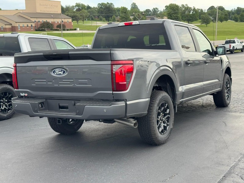 Ford F-150 Vehicle Image 03