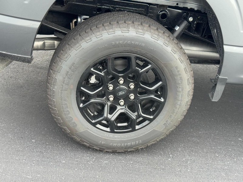 Ford F-150 Vehicle Image 04