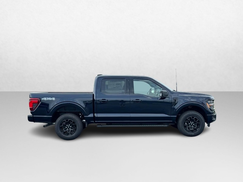 Ford F-150 Vehicle Image 02