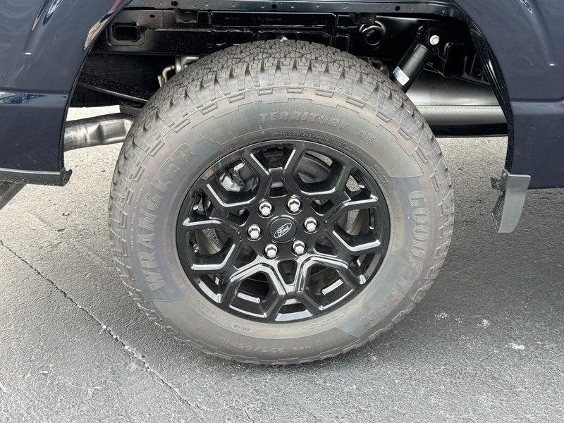Ford F-150 Vehicle Image 04