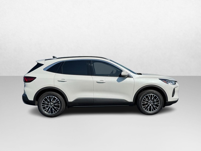 Ford Escape Vehicle Image 02