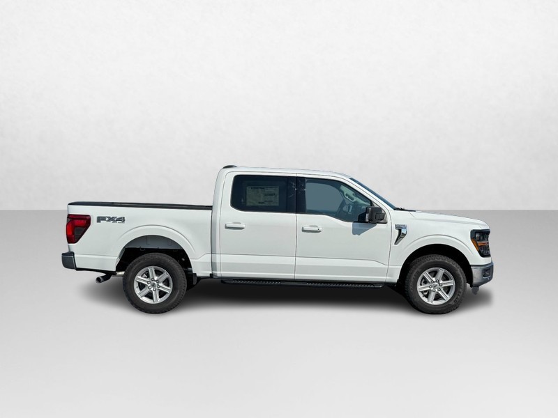 Ford F-150 Vehicle Image 02