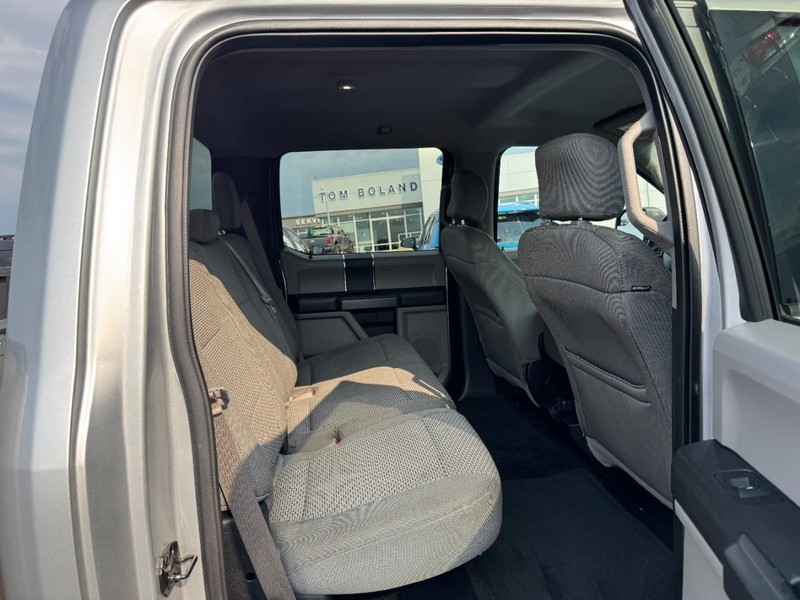 Ford F-150 Vehicle Image 10