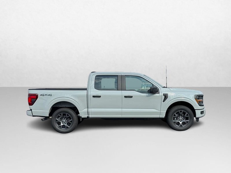 Ford F-150 Vehicle Image 02