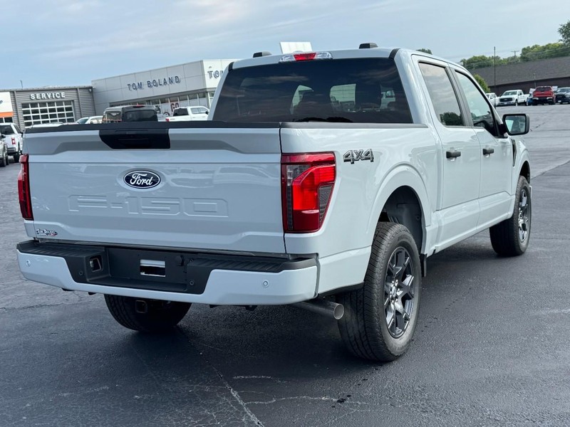 Ford F-150 Vehicle Image 03