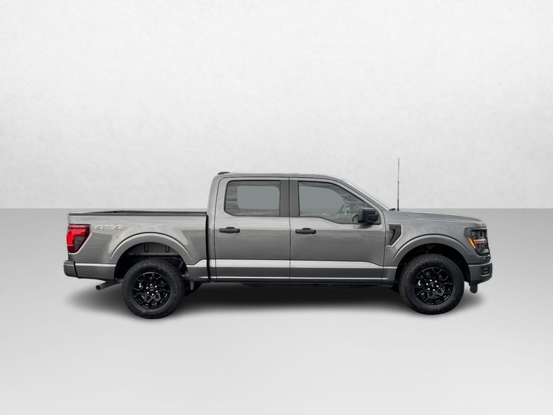 Ford F-150 Vehicle Image 02