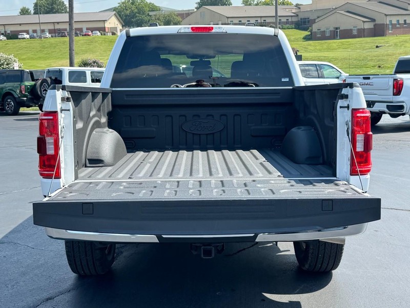 Ford F-150 Vehicle Image 05