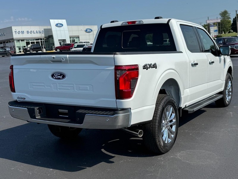 Ford F-150 Vehicle Image 03