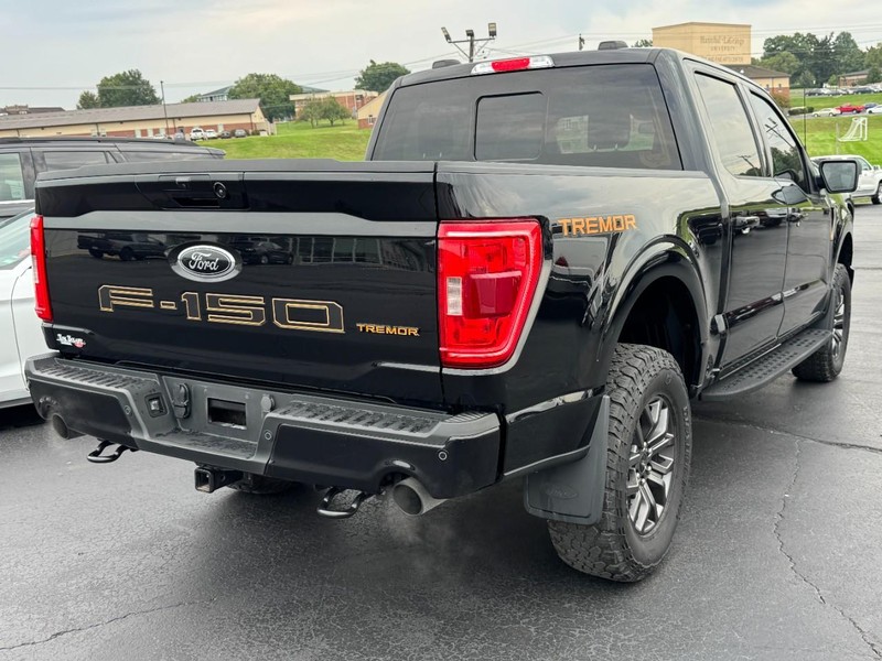 Ford F-150 Vehicle Full-screen Gallery Image 03