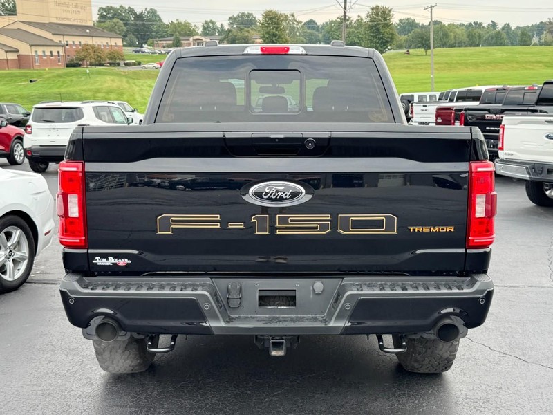 Ford F-150 Vehicle Full-screen Gallery Image 04