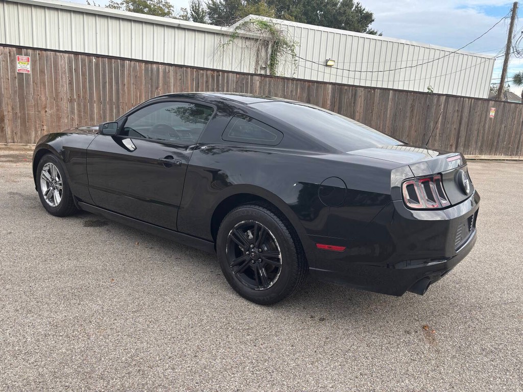 Ford Mustang Vehicle Full-screen Gallery Image 05