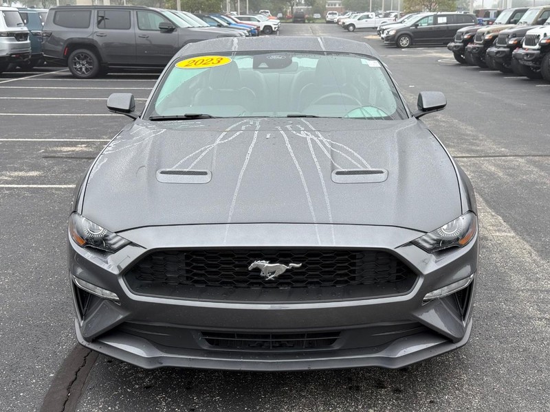 Ford Mustang Vehicle Full-screen Gallery Image 10