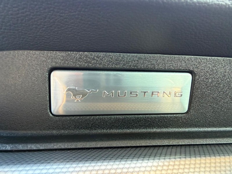 Ford Mustang Vehicle Full-screen Gallery Image 28