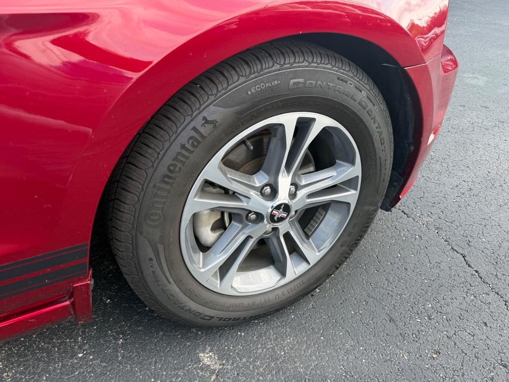 Ford Mustang Vehicle Full-screen Gallery Image 07