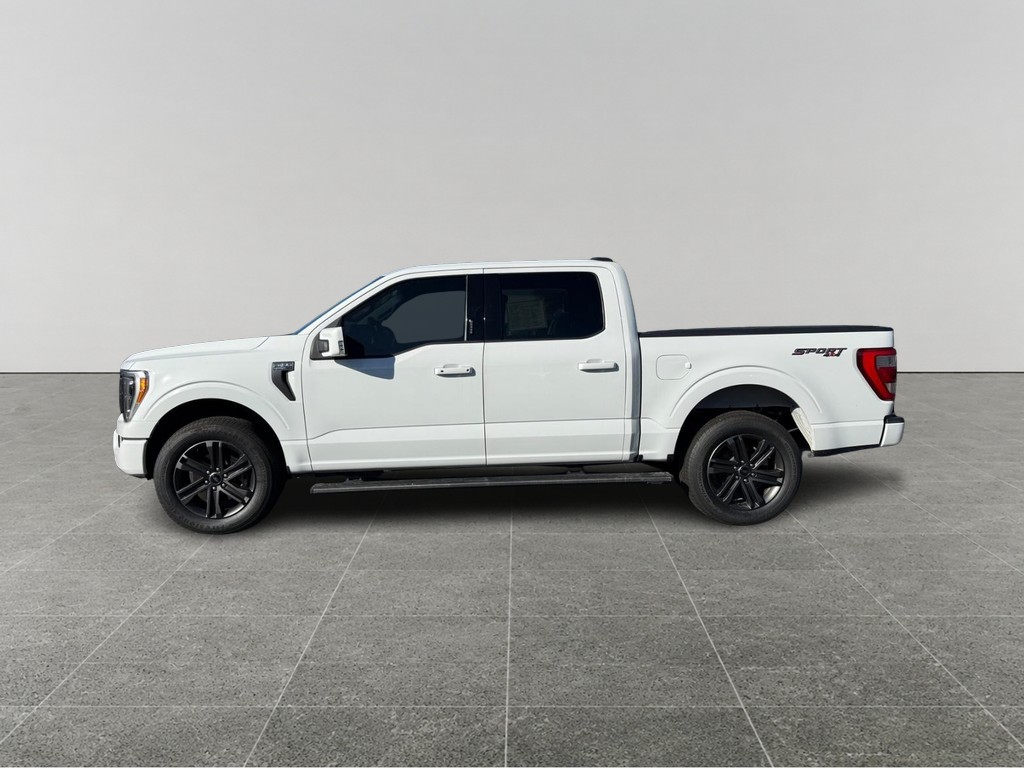 Ford F-150 Vehicle Full-screen Gallery Image 02