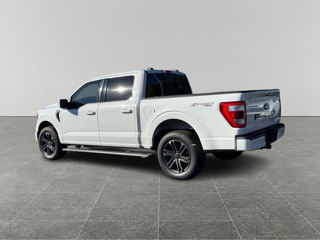 Ford F-150 Vehicle Full-screen Gallery Image 03