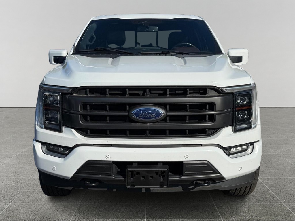 Ford F-150 Vehicle Full-screen Gallery Image 09