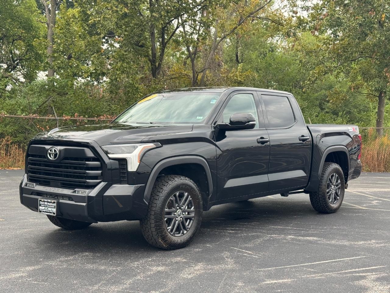 Toyota Tundra 4WD Vehicle Full-screen Gallery Image 08