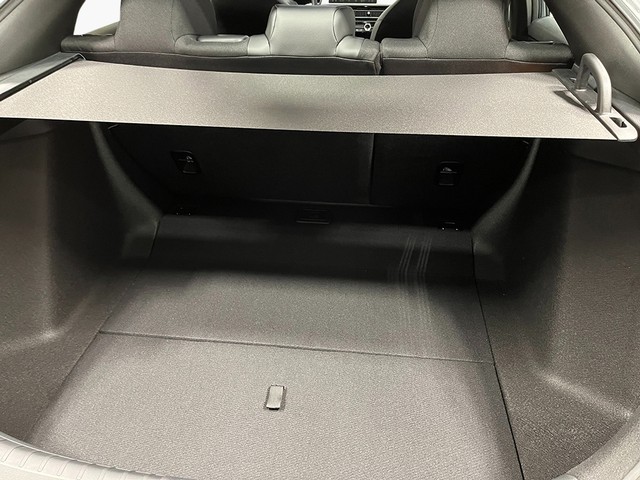 Honda Civic Hatchback Hybrid Vehicle Full-screen Gallery Image 25