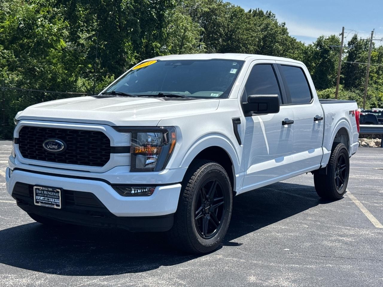 Ford F-150 Vehicle Full-screen Gallery Image 09