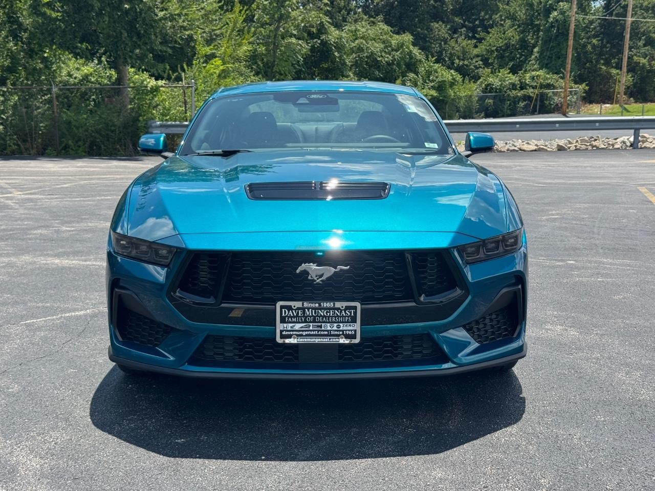Ford Mustang Vehicle Full-screen Gallery Image 10