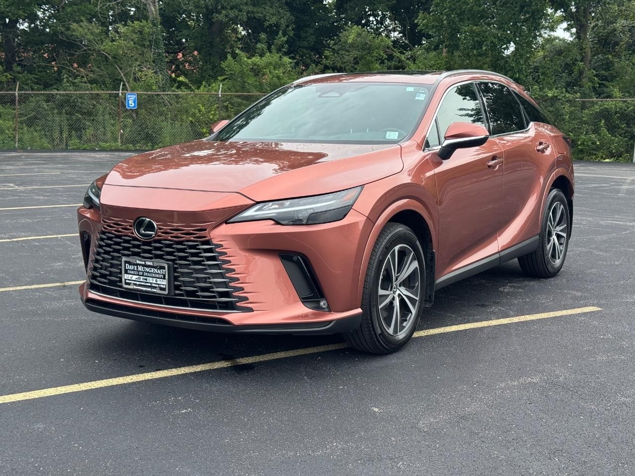 Lexus RX Vehicle Full-screen Gallery Image 09