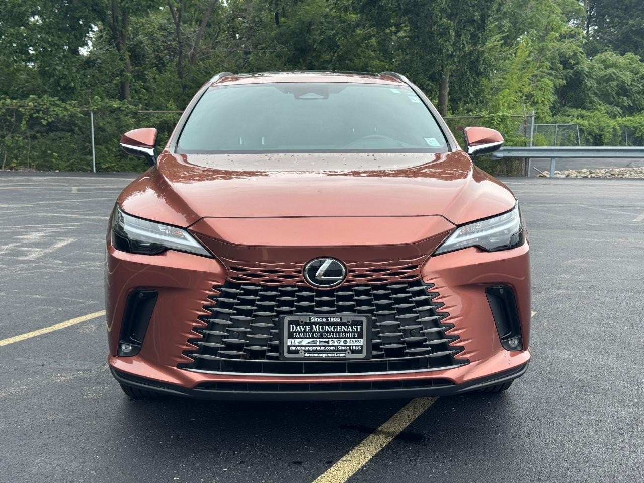 Lexus RX Vehicle Full-screen Gallery Image 10
