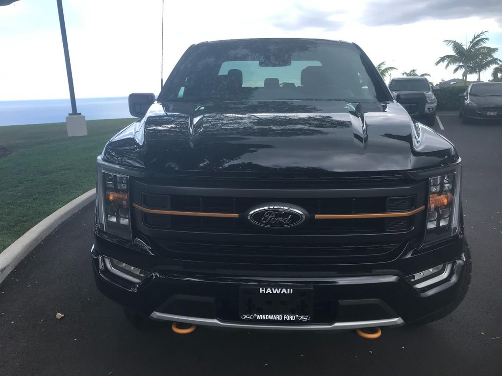 Ford F-150 Vehicle Full-screen Gallery Image 14