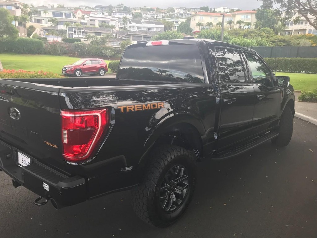 Ford F-150 Vehicle Full-screen Gallery Image 15