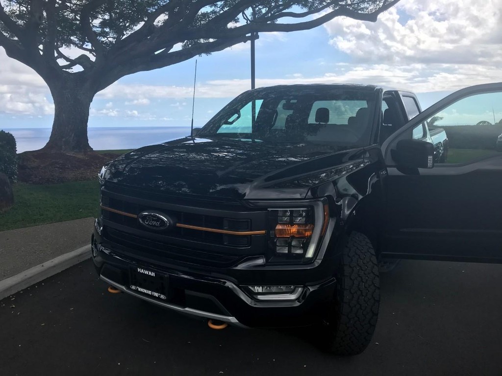 Ford F-150 Vehicle Full-screen Gallery Image 19