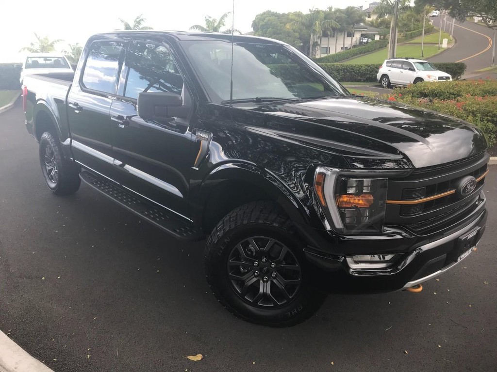 Ford F-150 Vehicle Full-screen Gallery Image 24