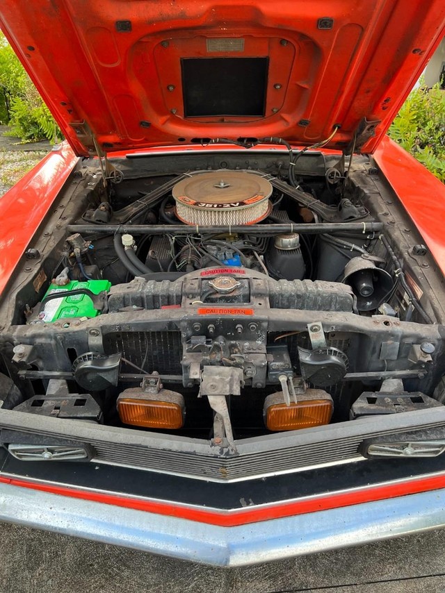 Ford Mustang Vehicle Full-screen Gallery Image 10