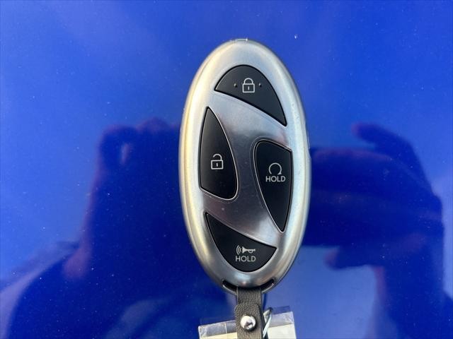 Hyundai Elantra Hybrid Vehicle Image 48