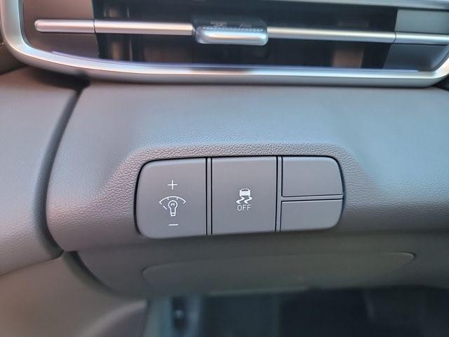 Hyundai Elantra Vehicle Image 07